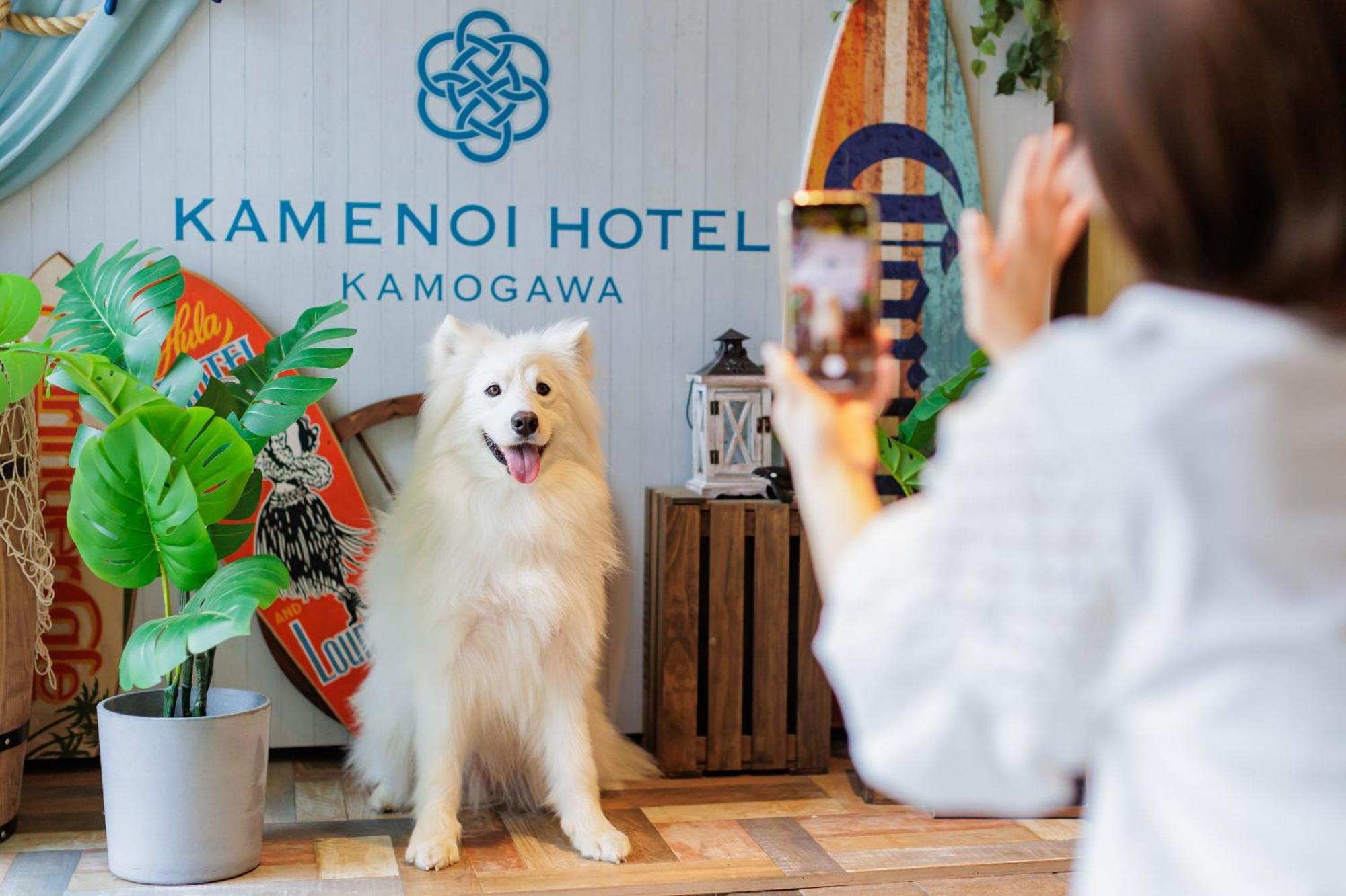 Kamenoi Hotel Kamogawa Zewnętrze zdjęcie